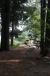 resIMG_20090802_0108.JPG